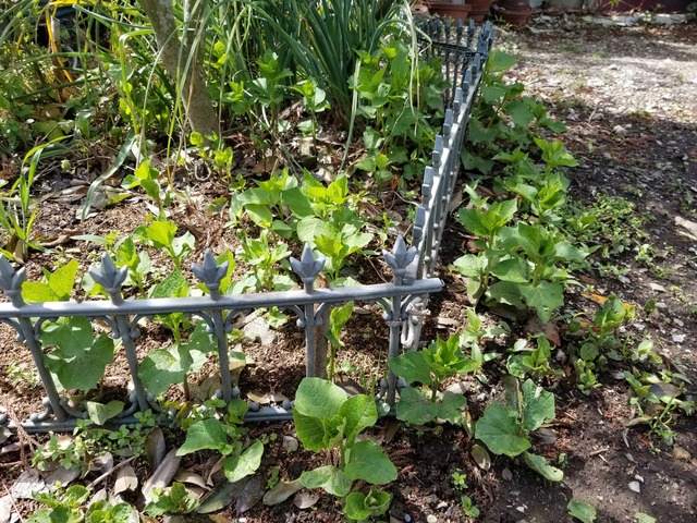 20230417_095602_copy_2016x1512