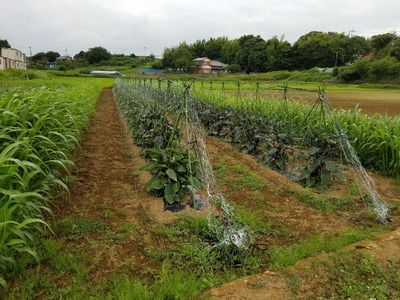 20190627_093014-831x623