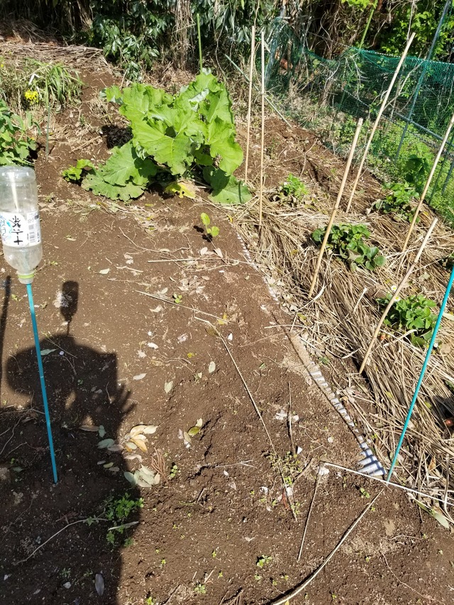 20240411_085011_copy_2268x3024