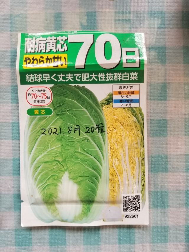 白菜 のじさんの徒然草