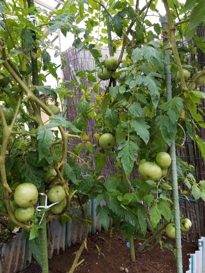 20190629_165837-1620x2160