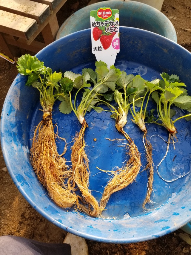 20240411_073857_copy_2268x3024