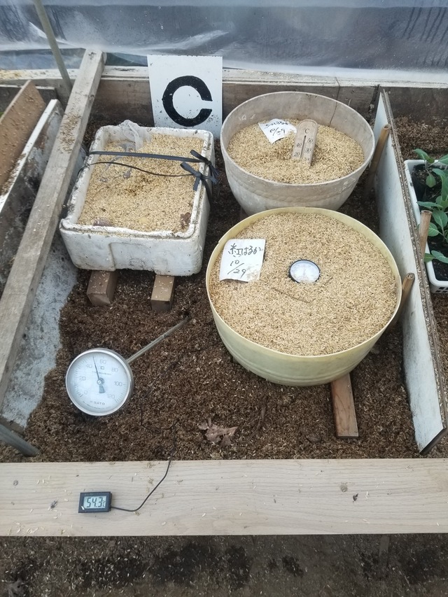 20240112_102227_copy_1512x2016