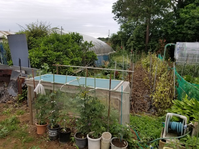 20190603_071330-2160x1620