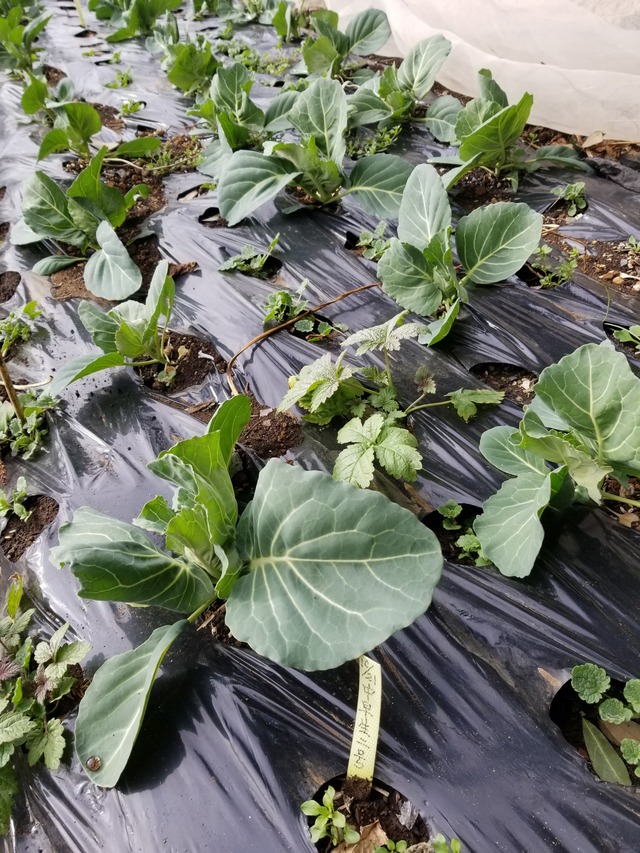 20240122_135809_copy_1512x2016