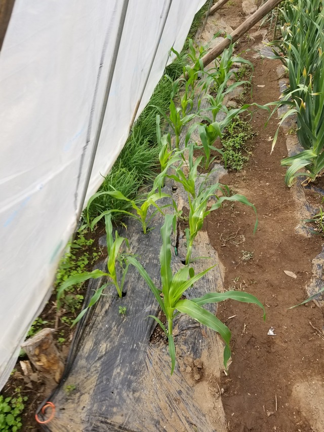 20230418_142042_copy_1512x2016