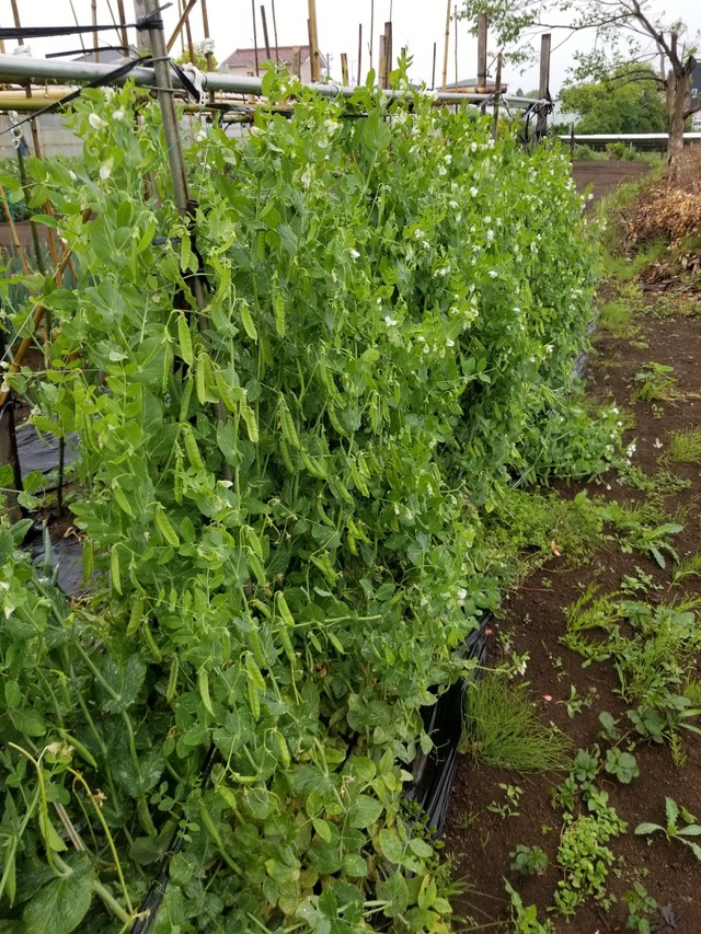 20230507_081649_copy_1512x2016