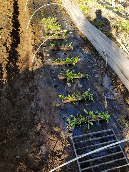 20191228_084648-2268x3024