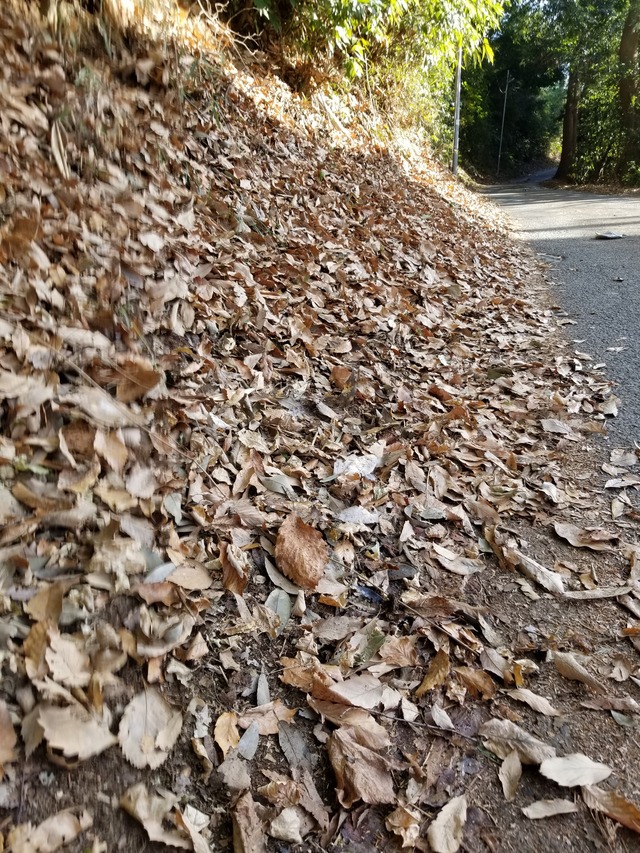 20210116_140525_copy_2268x3024