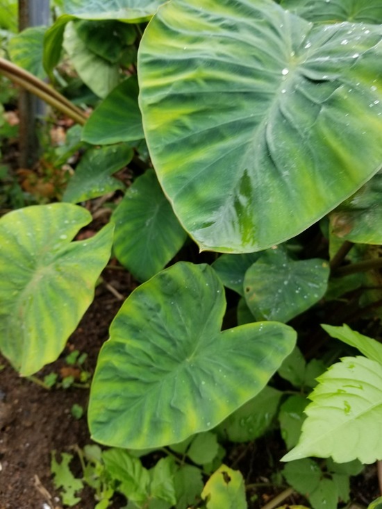 20191018_091802-1620x2160