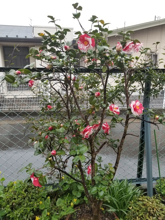20240403_162208_copy_2268x3024