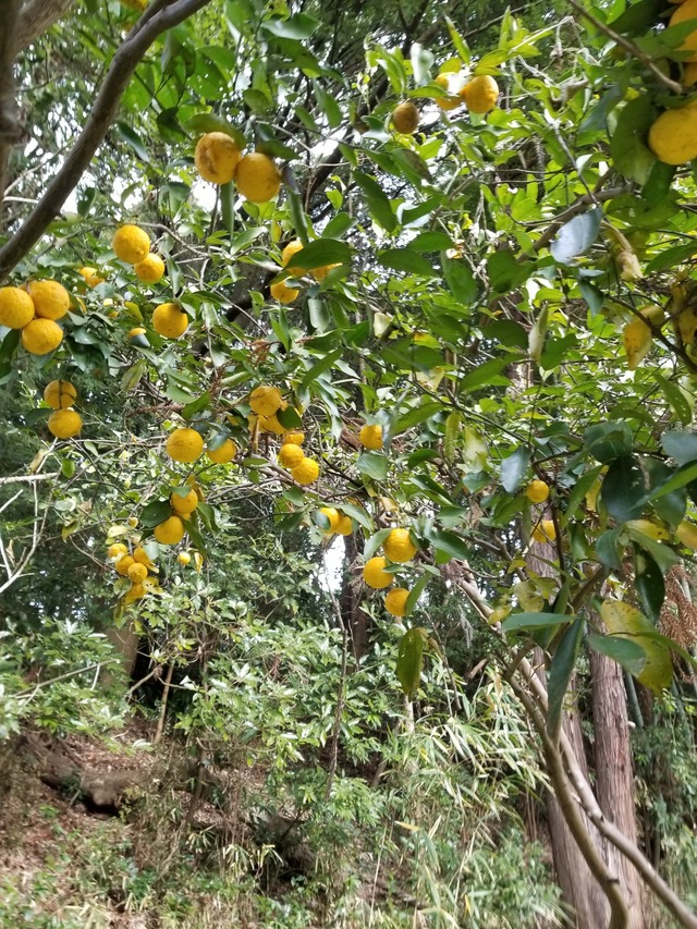 20240103_100643_copy_1512x2016