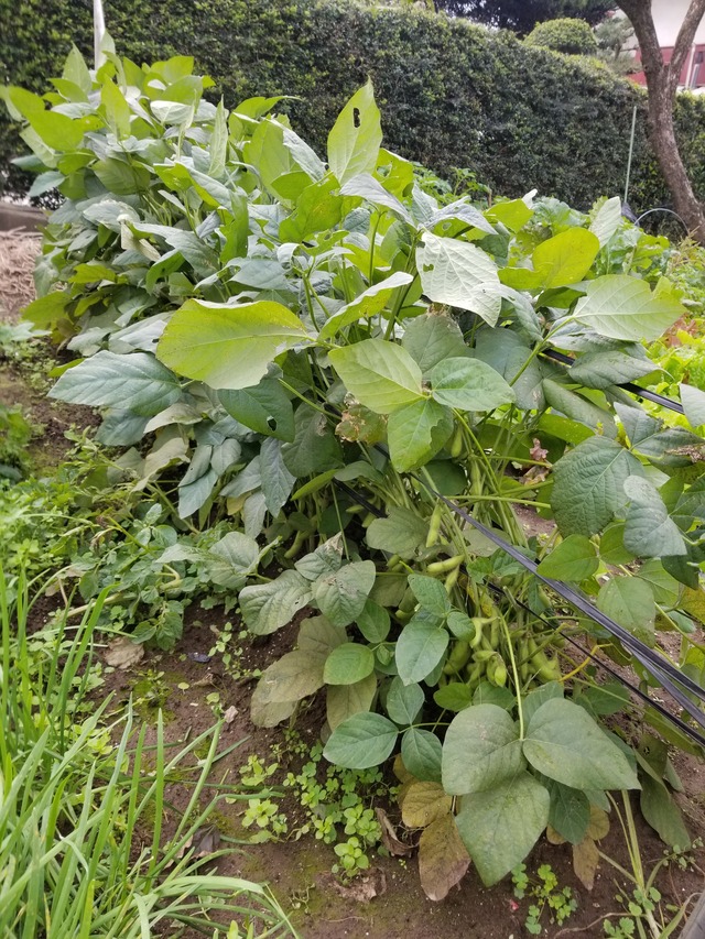 20211031_080041_copy_2268x3024