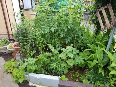 20190629_165746-2160x1620