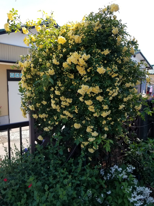 20190428_131924