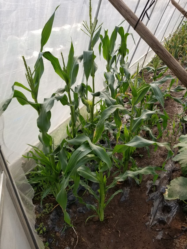 20230522_150805_copy_2268x3024