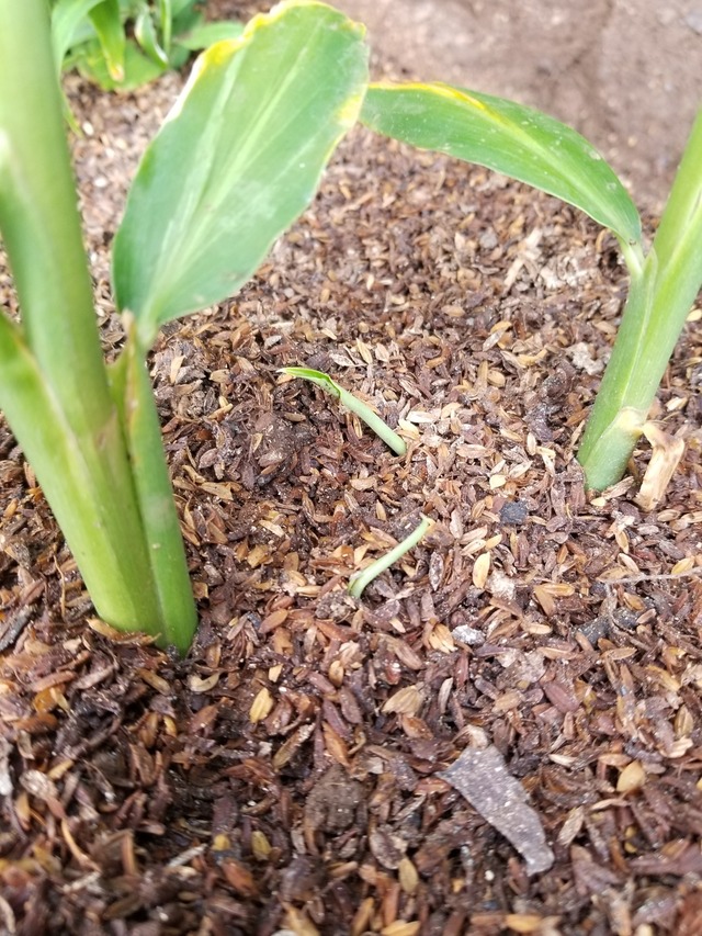 20230802_072606_copy_1512x2016