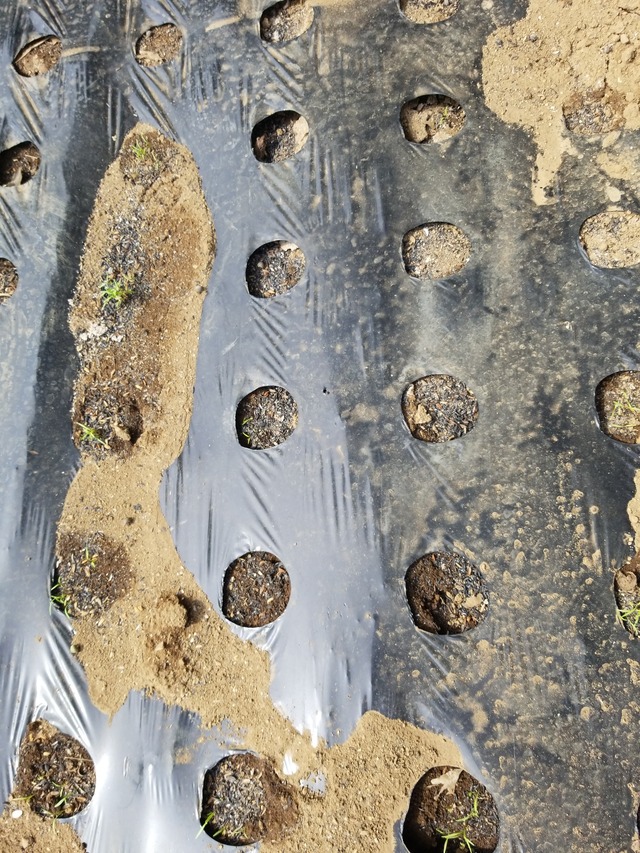 IMG_20230828_135458_copy_1512x2016