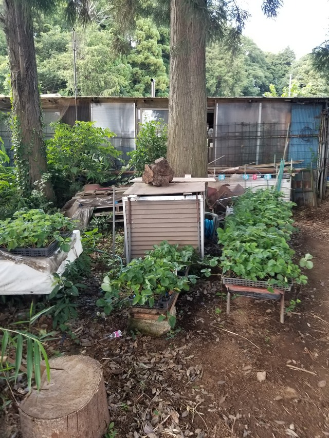 20230721_152459_copy_1512x2016