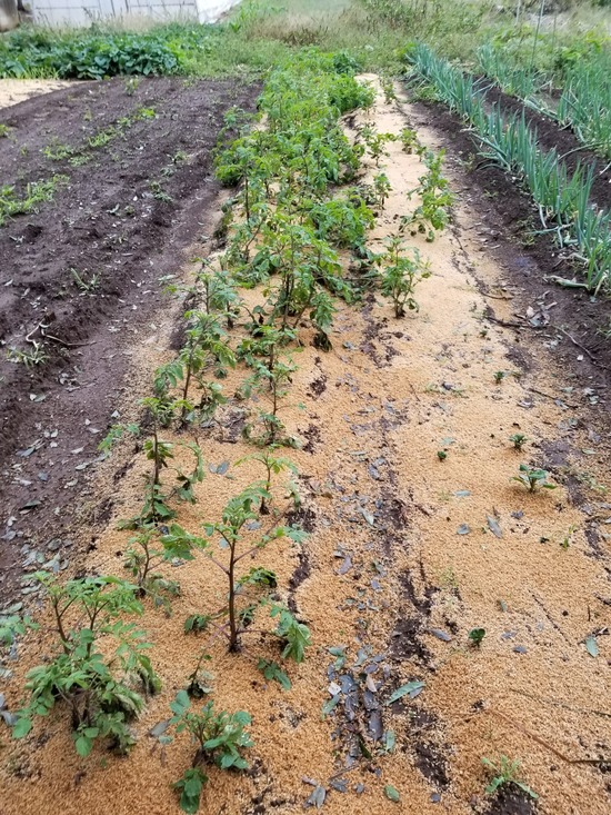 20191022_151342-1620x2160