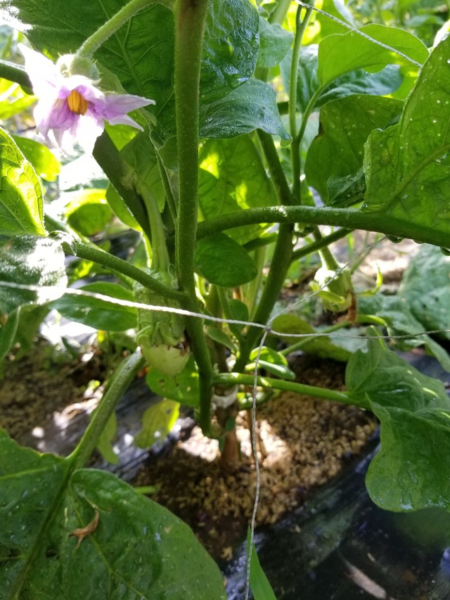 20220630_074910_copy_1512x2016