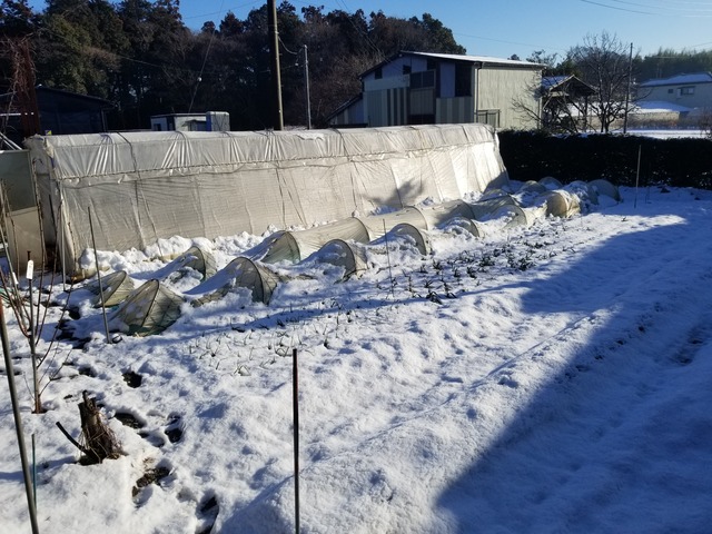 20240207_080730_copy_3024x2268