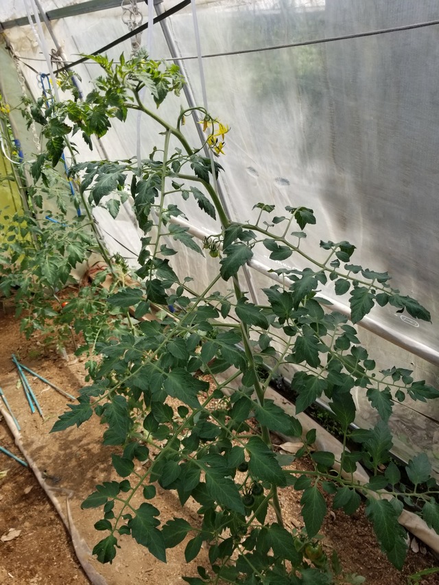 20210601_084248_copy_2268x3024