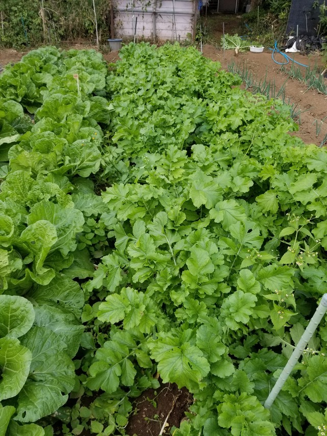 20221027_152345_copy_1512x2016