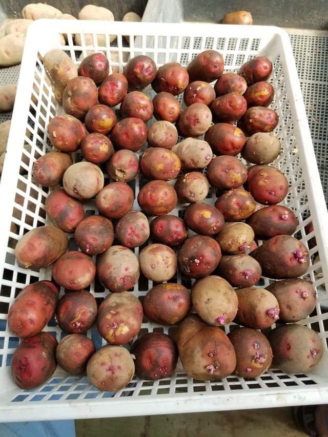 20220829_090300_copy_1512x2016