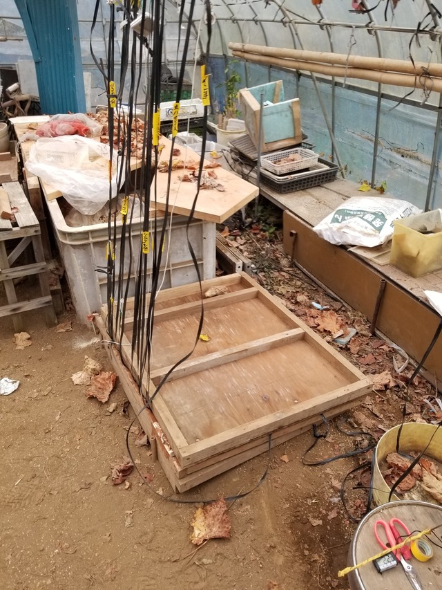 20231211_074314_copy_1512x2016_1