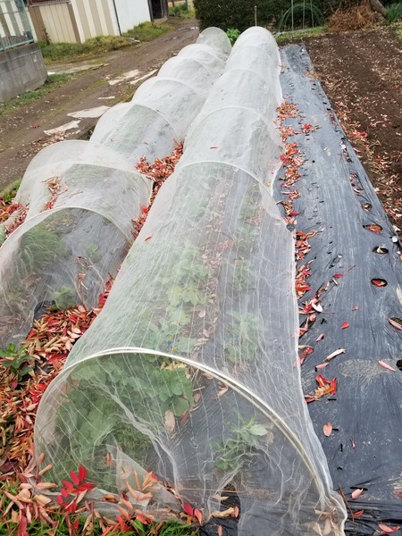 20191222_143111-2268x3024