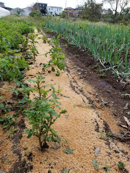 20191022_151650-1620x2160