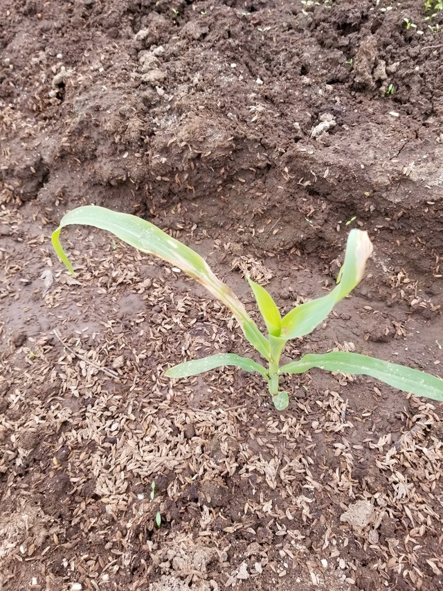 20240406_100820_copy_2268x3024