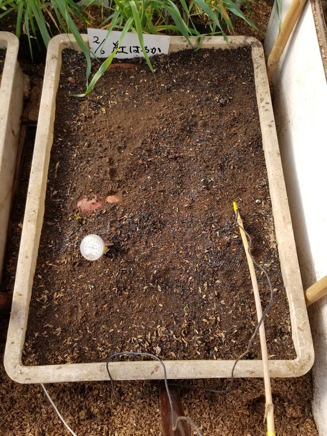 20240218_091006_copy_2268x3024