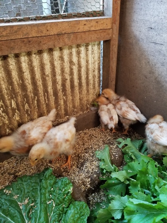 20191120_085516-1620x2160