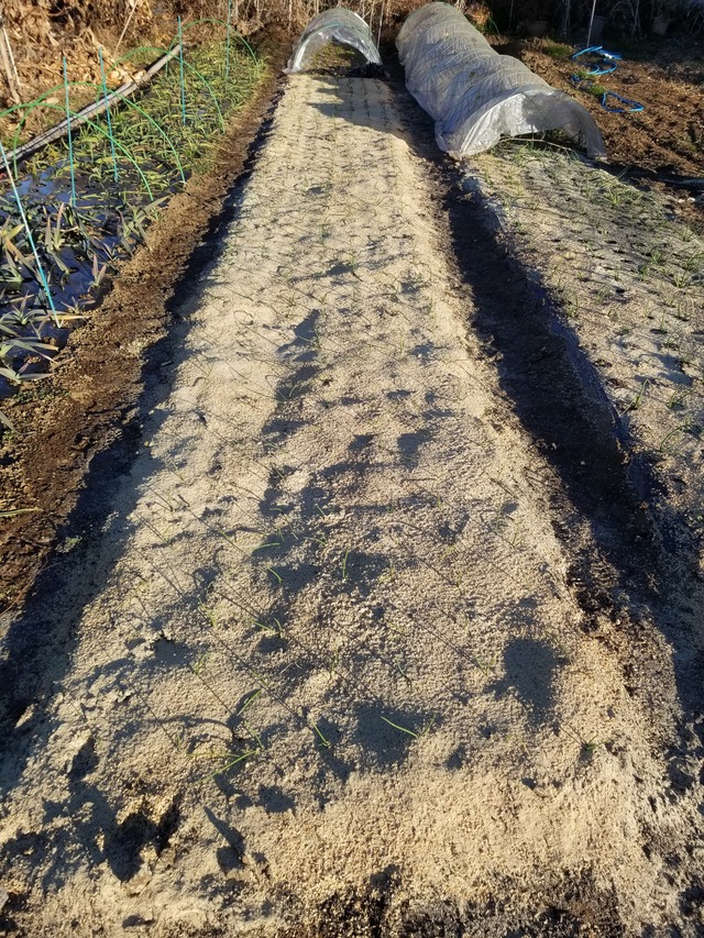 20211227_075957_copy_2268x3024