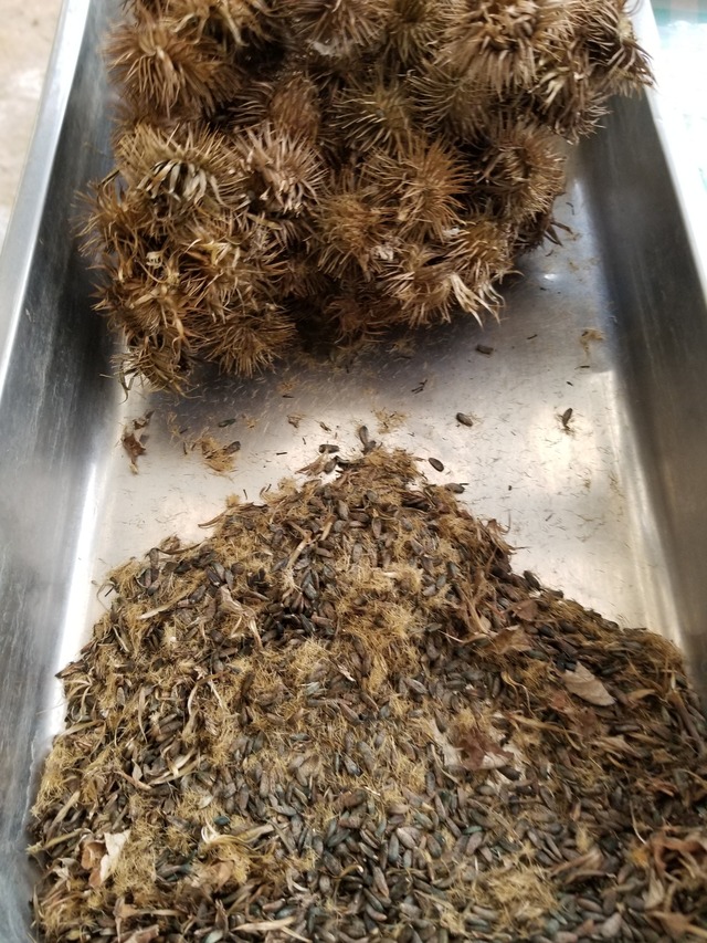 20211112_140139_copy_2268x3024