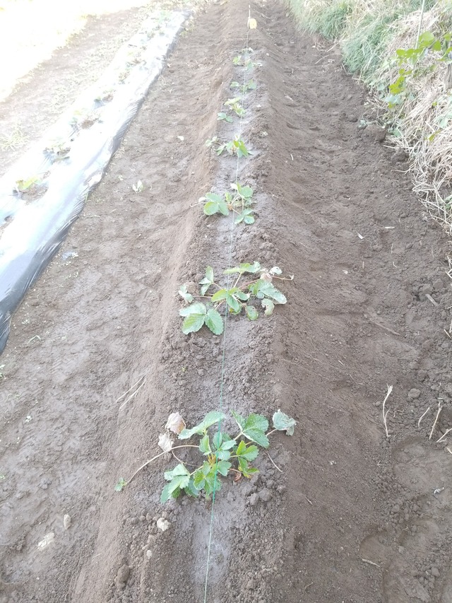 IMG_20231017_145023_copy_1512x2016