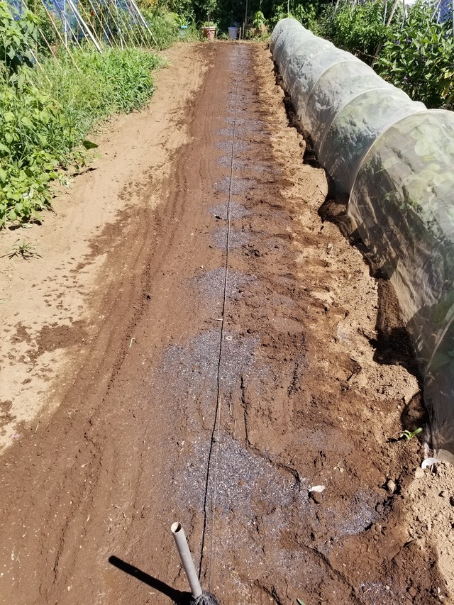 20210806_095325_copy_2268x3024