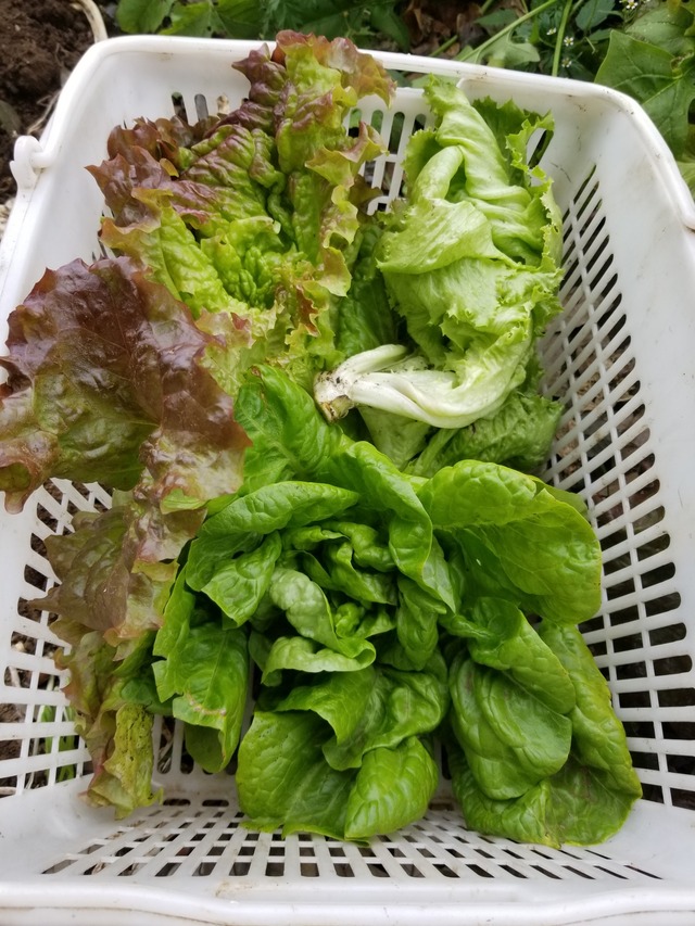 20231215_105827_copy_1512x2016