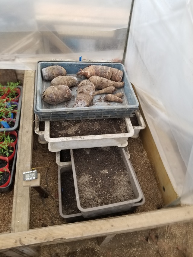 20240308_092134_copy_2268x3024