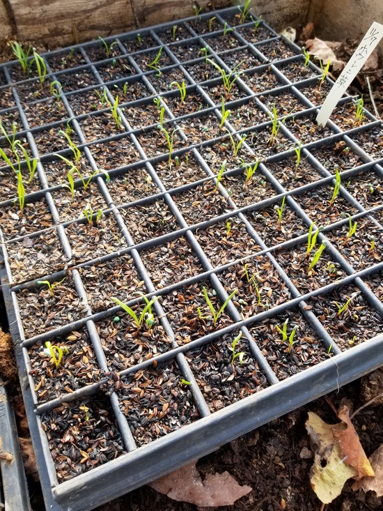 20191117_083808-1620x2160