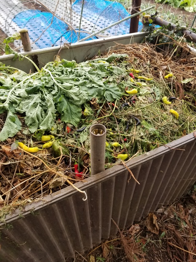 20201205_092758_copy_2268x3024