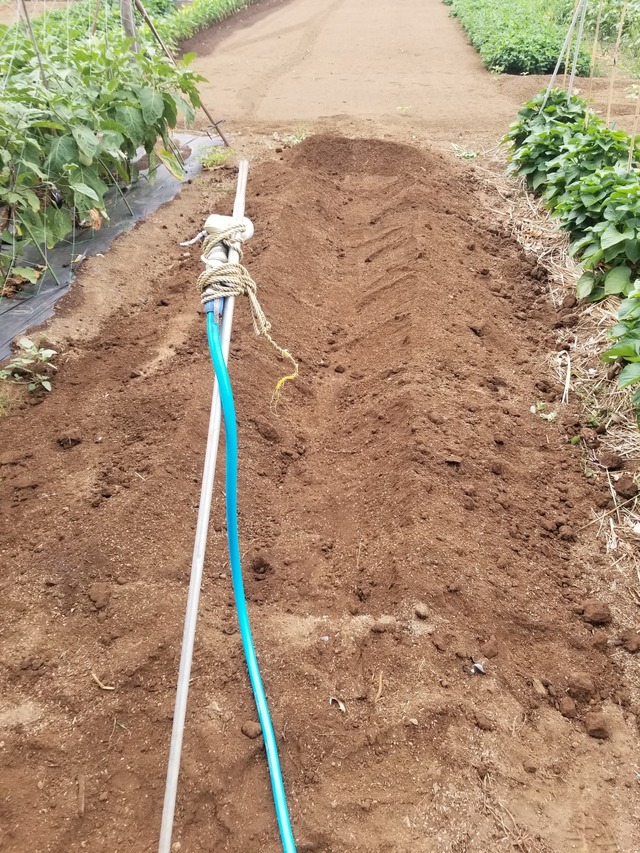 20230801_080112_copy_1512x2016_1