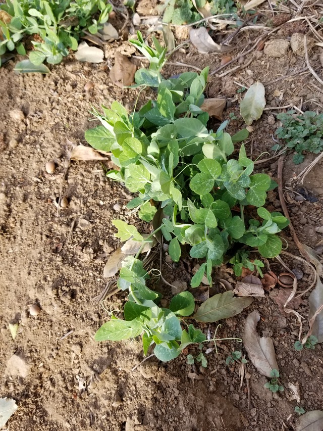 20210106_083524_copy_3024x4032