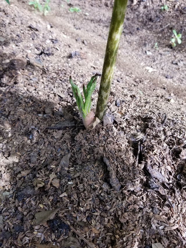 20210803_075645_copy_2268x3024