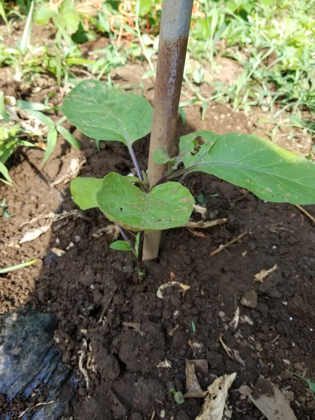 20220630_080233_copy_1512x2016