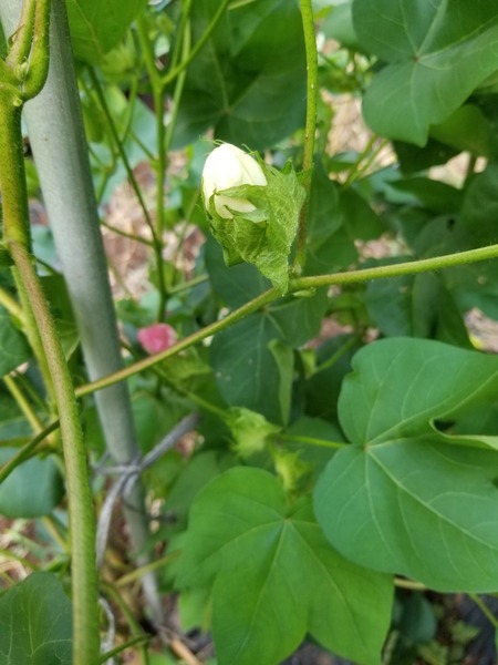 20190815_081357-1620x2160