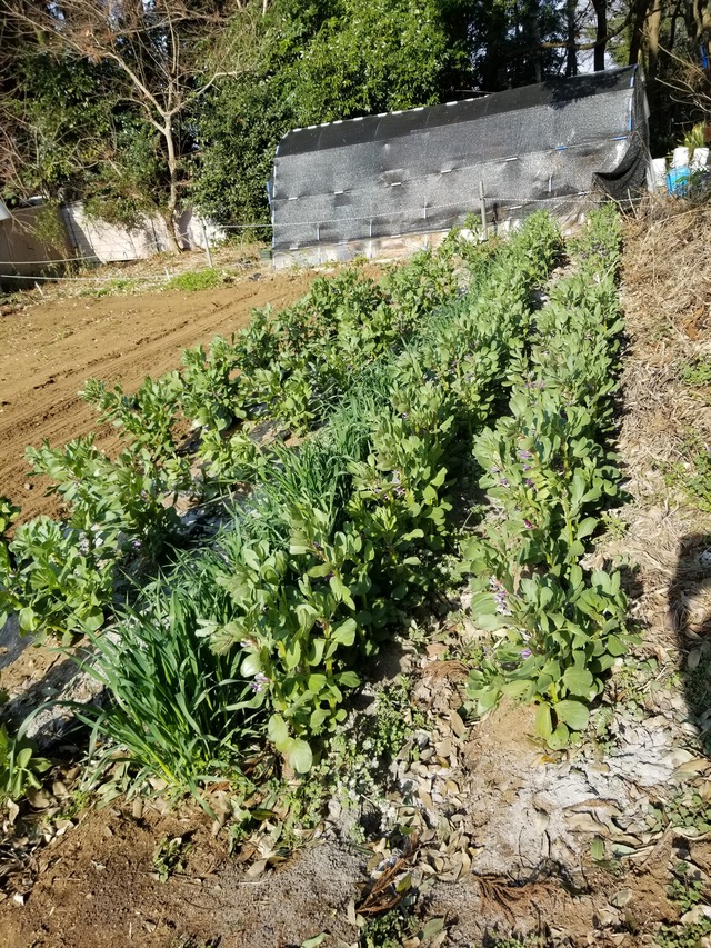 20240316_082451_copy_2268x3024