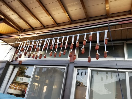 20191106_070433-2160x1620